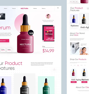 BW USA website preview